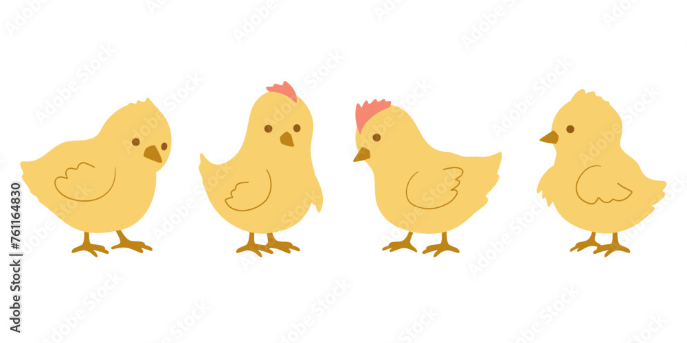 Set of yellow chicks. Vector illustration in flat style is isolated on white background