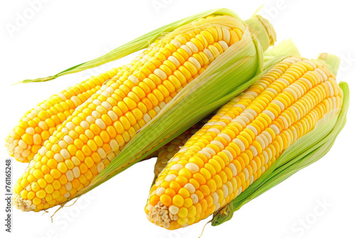 Delicious Sweetcorn Isolated on Transparent Background.
