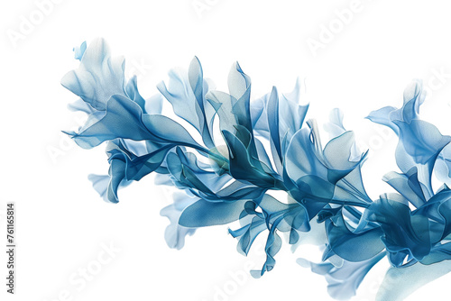 Seaweed Skeleton X-ray Image Isolated on Transparent Background.