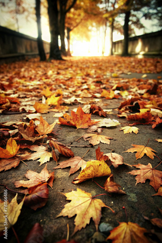 Autumn leaves lying on the floor 