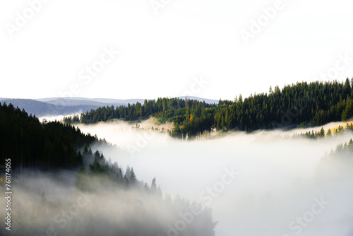 Autumnal landscape in the Black Forest. Nature in the morning with low lying clouds in the valley. 