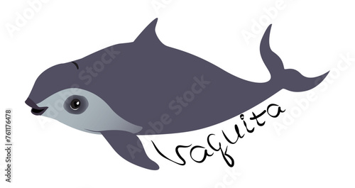 Vector character cute rare marine mammal California porpoise with vaquita lettering. The isolated object is on a white background.