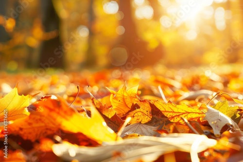 Bask in the golden hues of autumn as leaves crunch beneath your feet and the air is filled with the earthy scent of fallen foliage  Generative AI