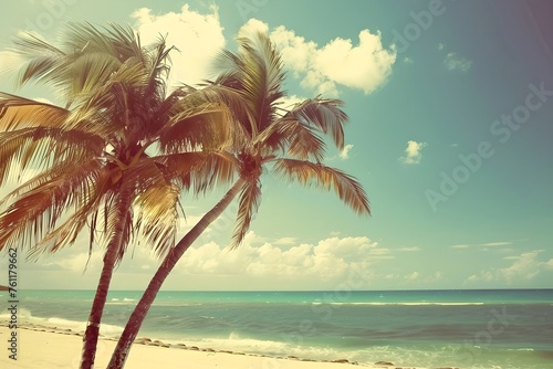 Tropical beach with palm tree and ocean. Retro  vintage style shot. Summer vacation and travel concept. Design for banner  poster. Sepia photography effect