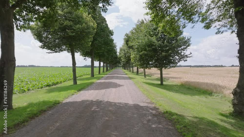 Unpaved Road Between The Trees In Summer. - aerial shot Unpaved Road Between The Trees In Summer. - aerial shot