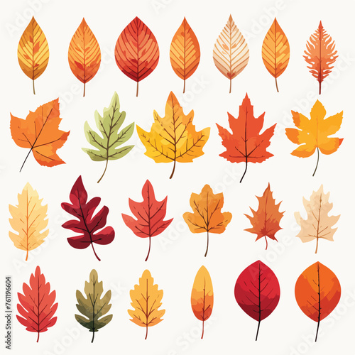 Autumn Leaves Clipart isolated on white background