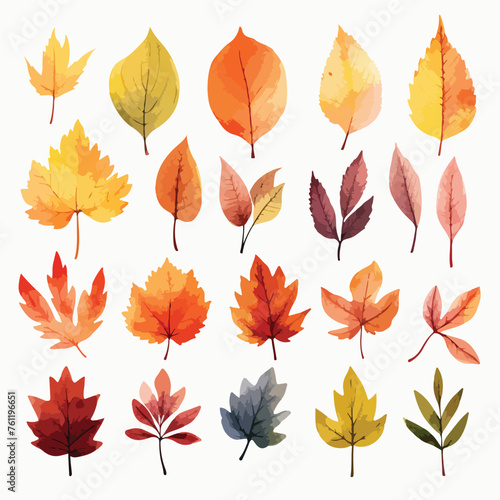 Autumn Leaves Clipart isolated on white background