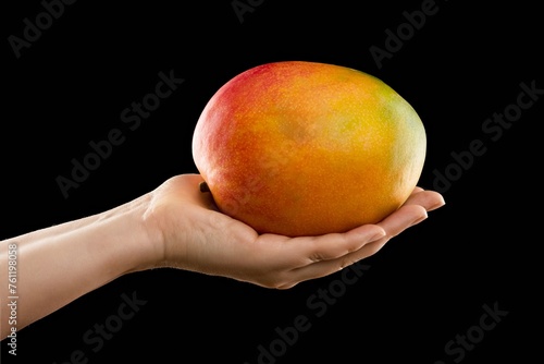 Mango in the palm of your hand, black background