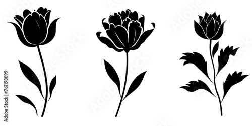 illustration of a flower