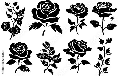 set of black and white roses © Sadia