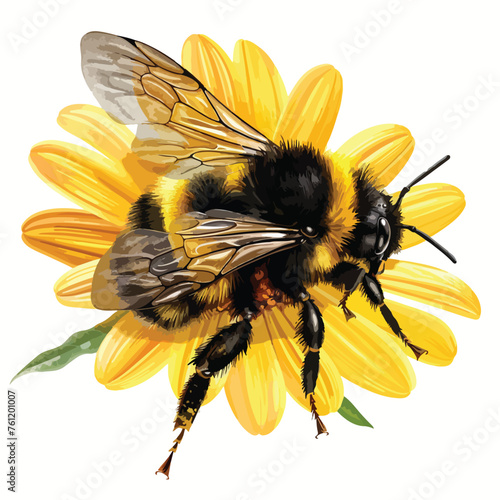 Bumblebee On Flower Clipart isolated on white background
