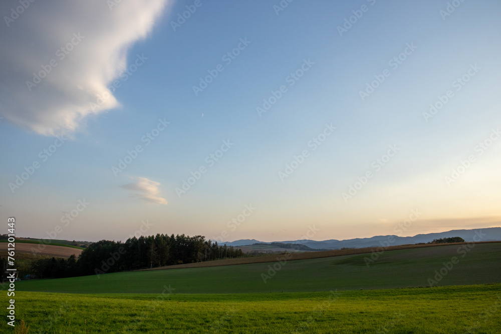夕陽が当たる緑の牧草畑と空に浮かぶ雲
