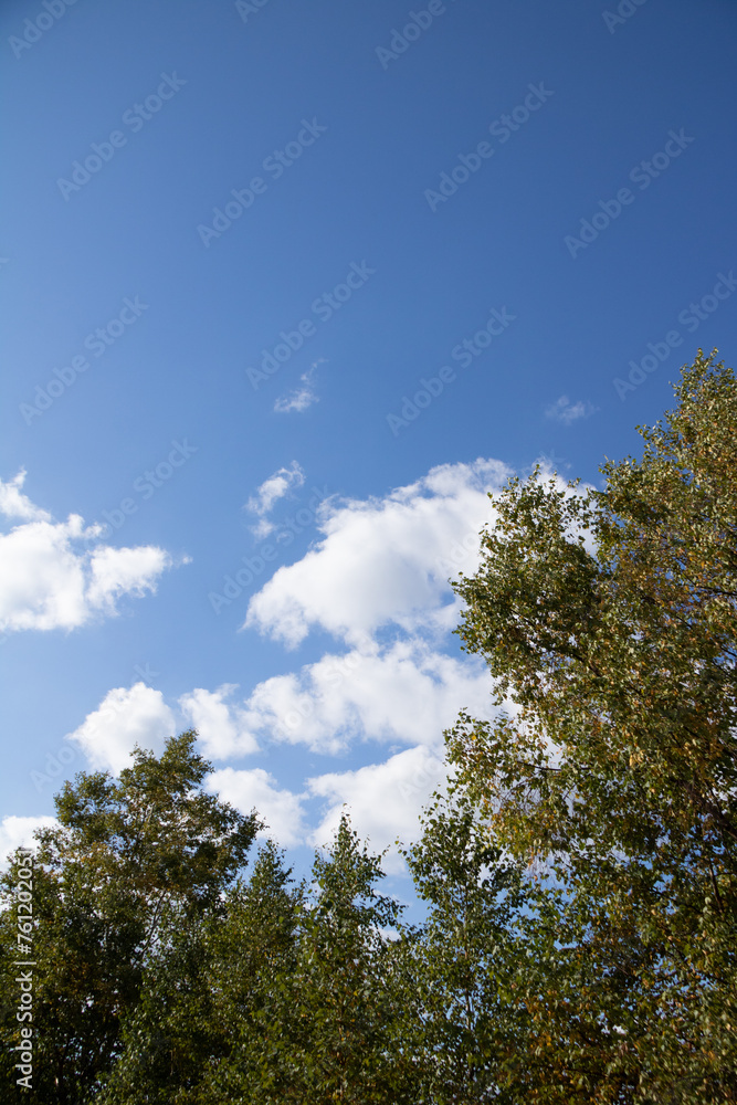秋の空と白い雲
秋の空と白い雲