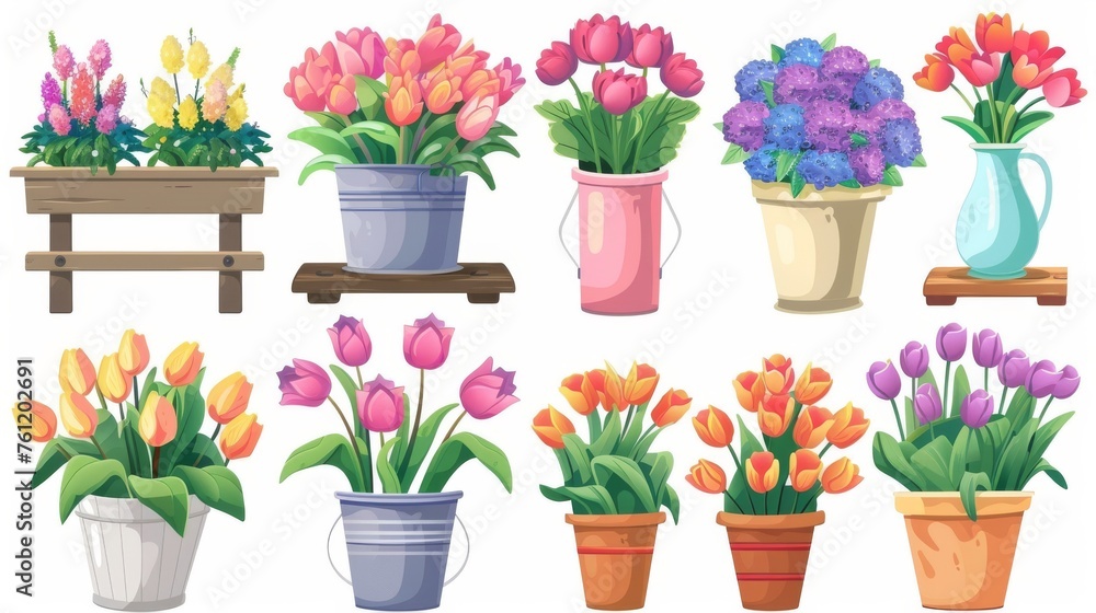 Colorful bouquets in buckets, tulips in vases, green plant in pot, wooden shelf, and green plant in pot, isolated on white background.