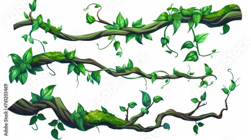 Intricately twisted and swirled liana branch with green leaves and moss leaf for border decoration. Modern illustration of rainforest tree stems.