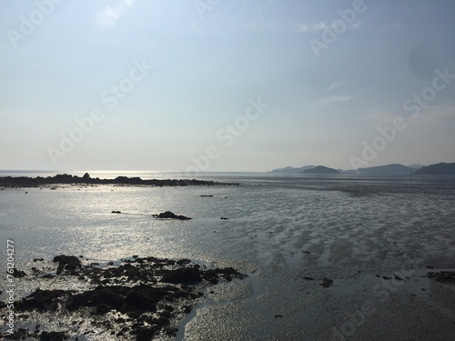 west coast mudflat