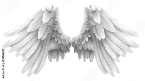 Angel wings isolated on white or transparent background. PNG file