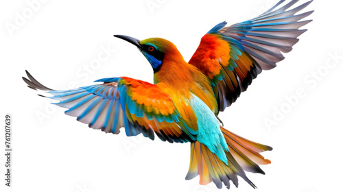 Colorful Bird flying in sky on transparent background. PNG file © Pretty Panda