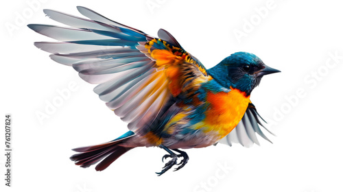 Colorful Bird in Flight on transparent background. PNG file © Pretty Panda