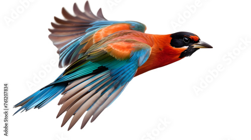 Colorful Pretty Bird in Motion on transparent background. PNG file © Pretty Panda