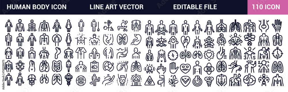 Fototapeta premium Human body icons set. Anatomy. Healthcare. Outline Icons Editable Stroke Thin line contour symbols. Isolated vector outline illustrations.