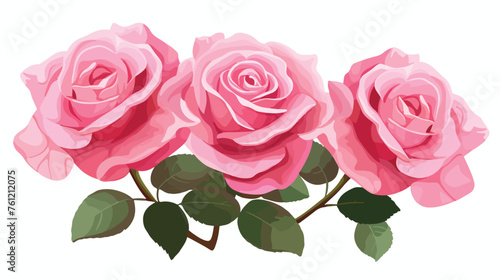 Three beautiful pink roses illustration