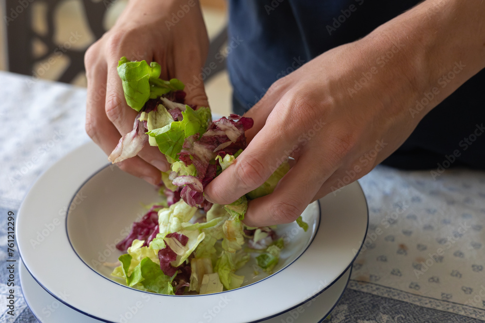 Detail of a Boy's Hands Ripping Salad Leaves into Smaller Pieces in a Plate Detail of a Boy's Hands Ripping Salad Leaves into Smaller Pieces in a Plate