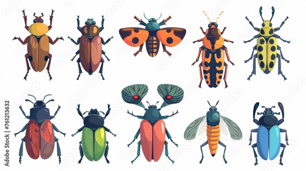 Species of bees and bugs isolated on white. Colored flat modern illustrations of nature, fiction, flowery fauna species.