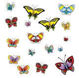 Print 8-3-67 All butterfly