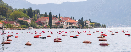 Mussel and oyster farm in Montenegro, Bay of Kotor and ancient town evening view, banner photo