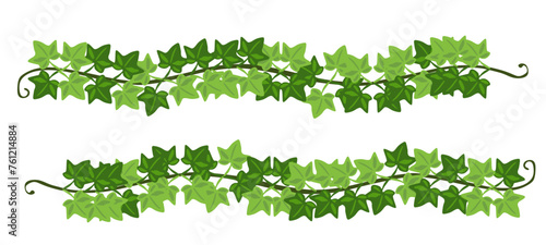 Green climbing ivy creeper branches isolated on white background. Hedera vine botanical border or frame design element. Vector illustration of hanging or wall climbing ivy plant
