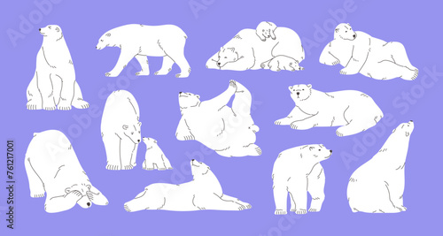 Fototapeta Naklejka Na Ścianę i Meble -  Cute polar bears set. White north animals in different poses: lying, sit, walk, go, looking up, stretching. Furry arctic mother sleeps with amusing cubs, baby. Flat isolated vector illustrations
