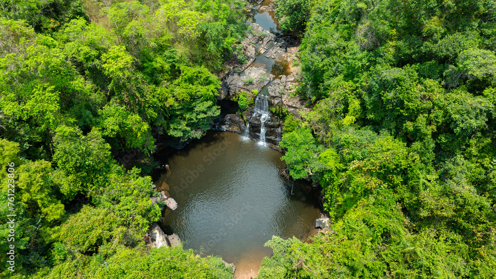Aerial view of mixed forest, deciduous trees, greenery and waterfalls flowing through the forest. The rich natural ecosystem of rainforest concept is all about conservation and natural reforestation. Aerial view of mixed forest, deciduous trees, greenery and waterfalls flowing through the forest. The rich natural ecosystem of rainforest concept is all about conservation and natural reforestation.