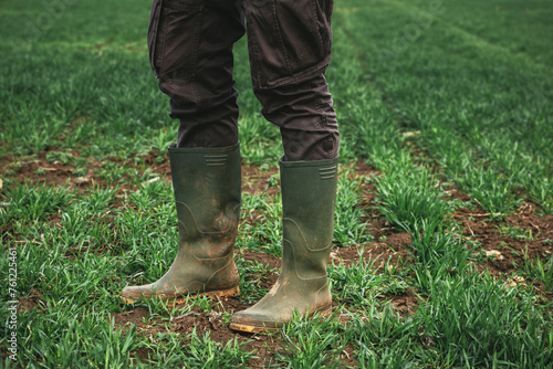 Agronomist wearing green rubber boots standing in wheat crop seedling field © Bits and Splits