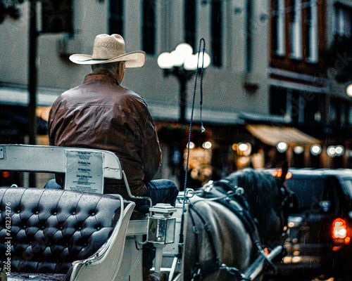 Horse and carriage driver