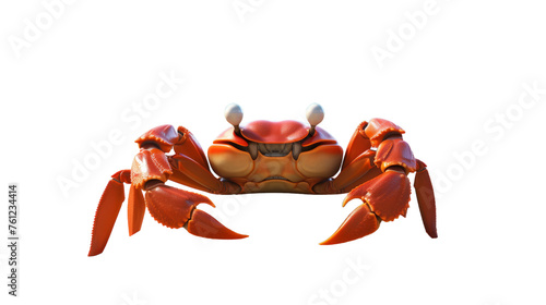 A vibrant orange crab with two claws on its back moving gracefully along the sandy shore photo