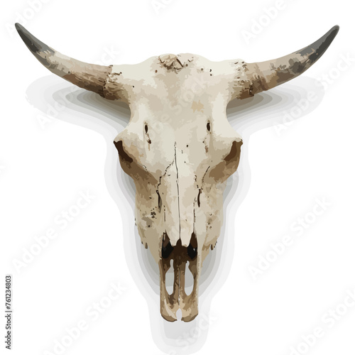 Cow Skull Clipart isolated on white background