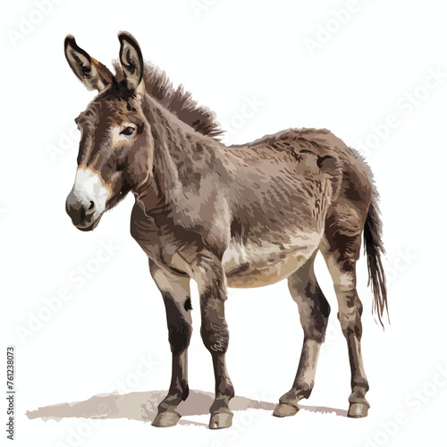 Donkey Clipart isolated on white background