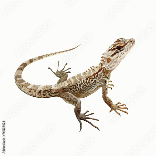 Elegant Lizard Clipart Clipart isolated on white background