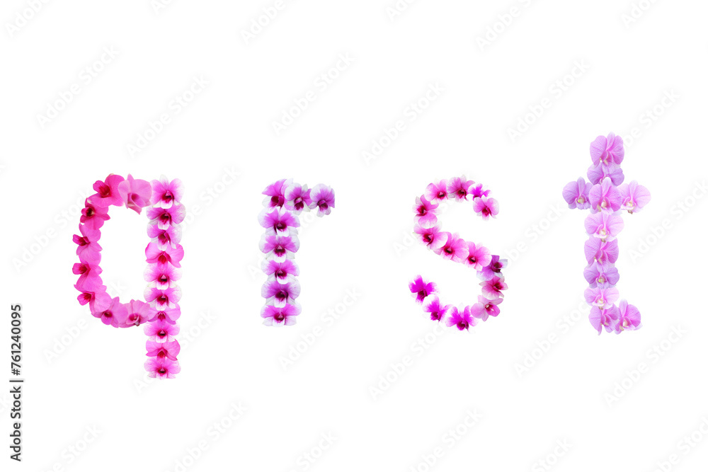 Image of orchids arranged in qrst letters isolated on transparent background png file.