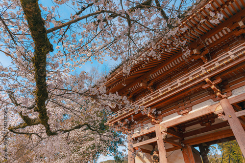 京都醍醐寺 西大門（仁王門）の春景色 