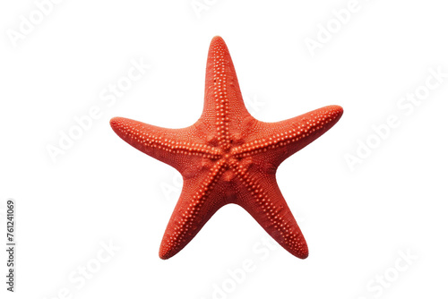 Red Starfish on White Background. On a Transparent Background.