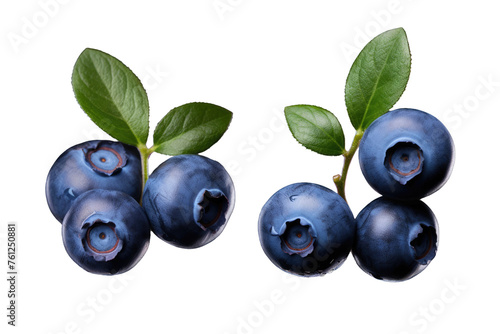 Blueberries With Leaves on a White Background. On a White or Clear Surface PNG Transparent Background.