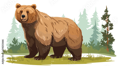 Vector illustration a large wild bear 