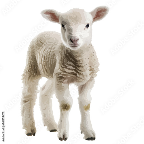 Lamb Clipart isolated on white background