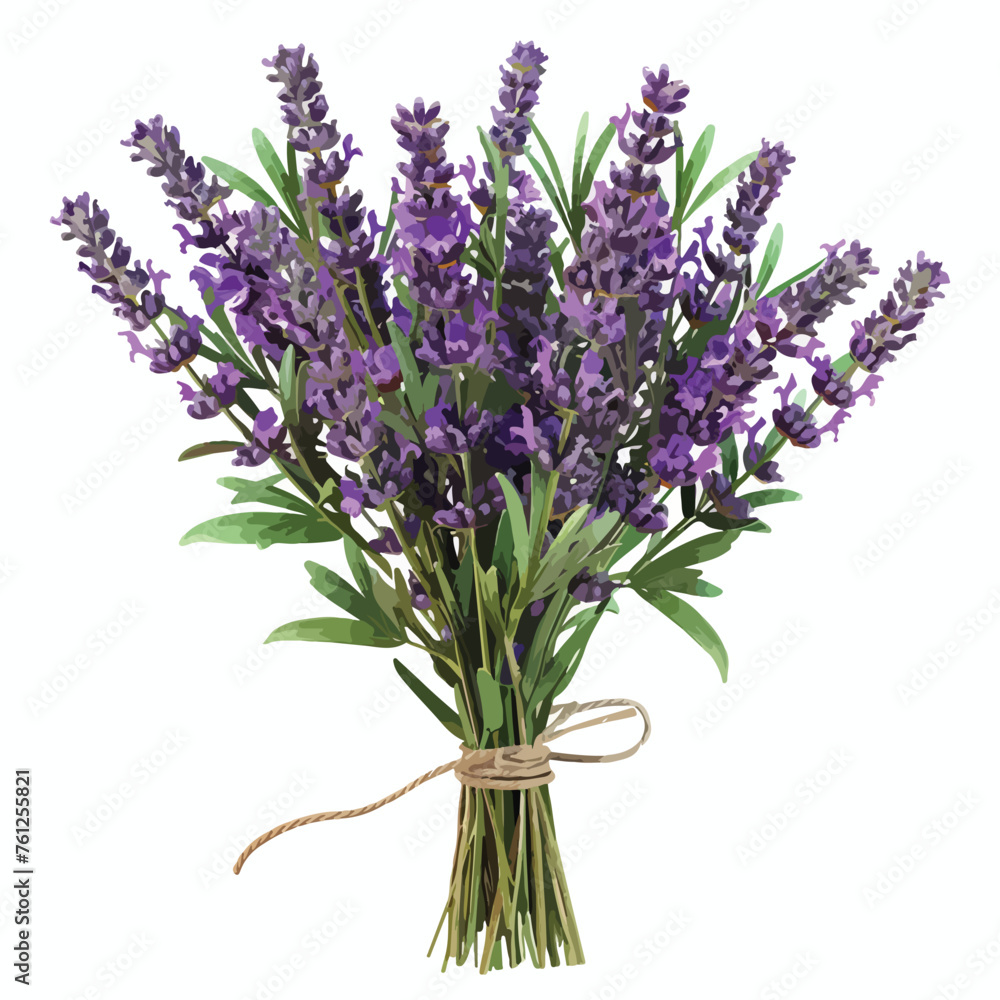 Fototapeta premium Lavender Bouquet Clipart Clipart isolated on white background