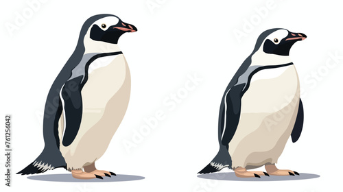 Wild peguin illustration vector on a white background photo