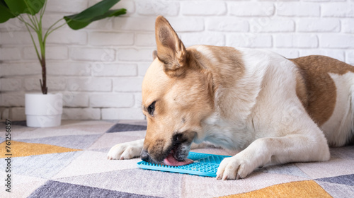 cute dog using lick mat for eating food slowly, licking peanut butter photo