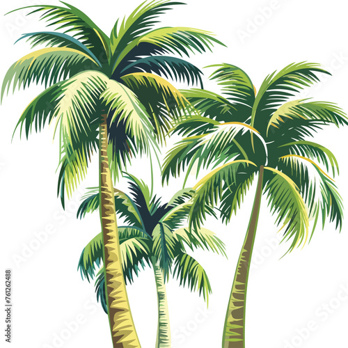 Palms Clipart isolated on white background