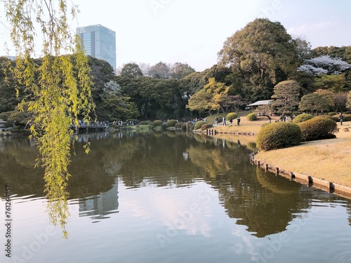 japanese garden in autumn